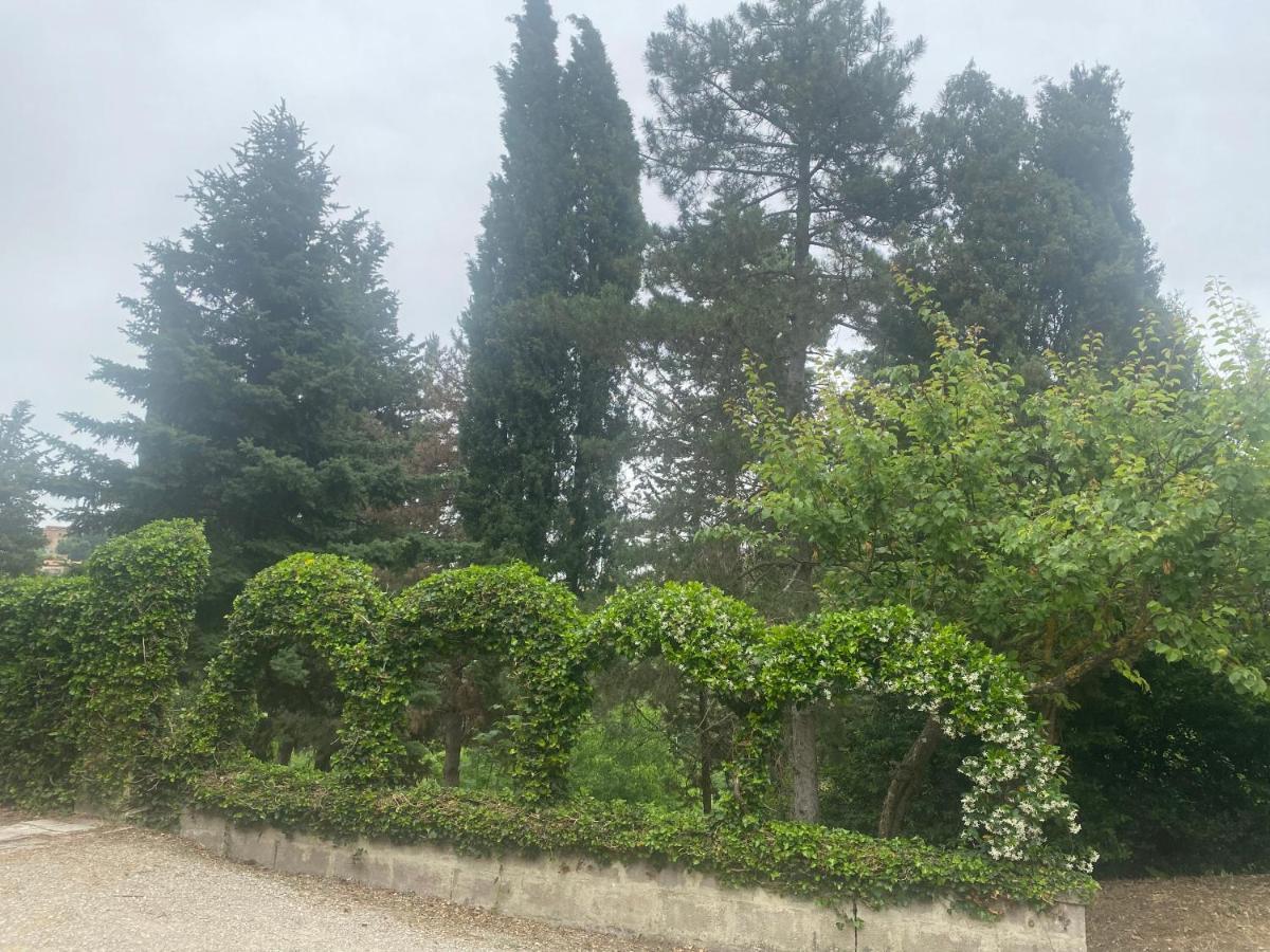 Villa Zara Сиена Экстерьер фото